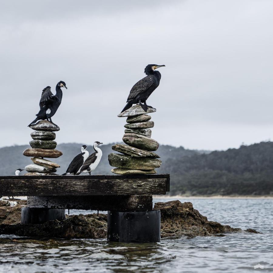 Отель Picnic Island Коулс-Бей Экстерьер фото